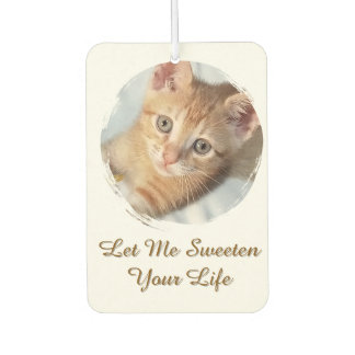 Sweet Cat Photo, Text, Replaceable, Air Freshener
