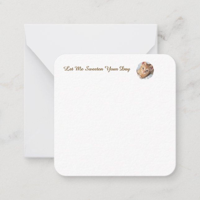 Sweet Cat Photo Text Replaceable, Funny Note Card (Front)