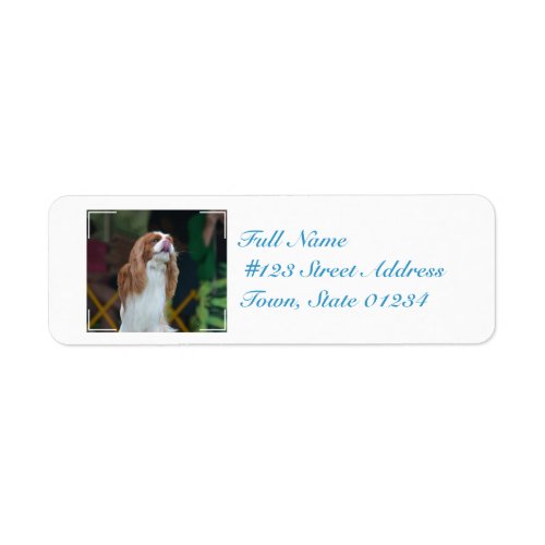 Sweet Cavalier King Charles Spaniel Label