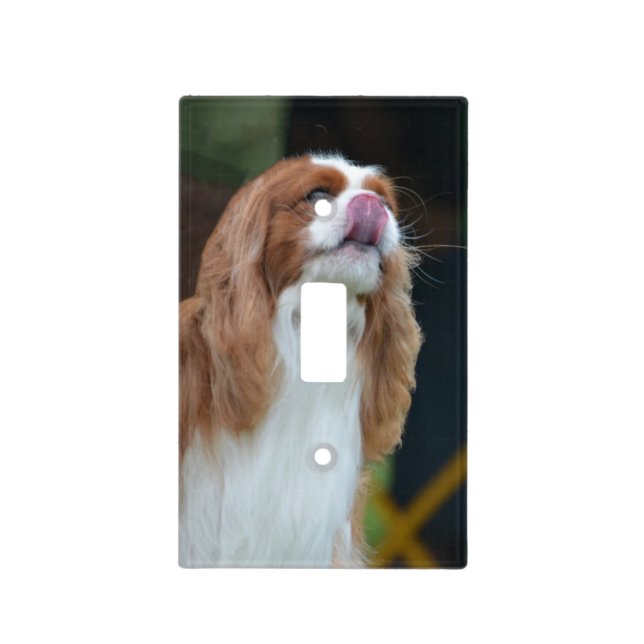 Sweet Cavalier King Charles Spaniel Light Switch Cover (Front)