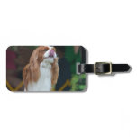 Sweet Cavalier King Charles Spaniel Luggage Tag