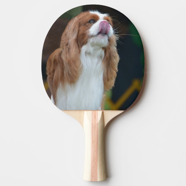 Sweet Cavalier King Charles Spaniel Ping-Pong Paddle (Front)