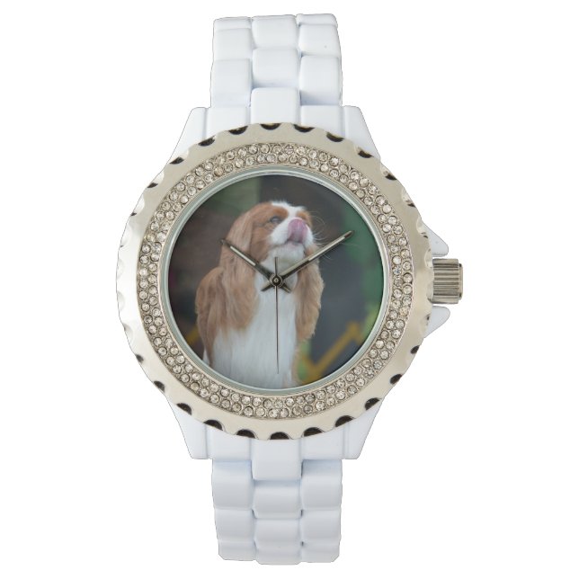 Sweet Cavalier King Charles Spaniel Watch (Front)