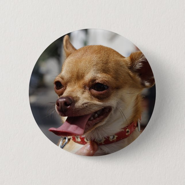 Sweet Charlie Chihuahua Button (Front)