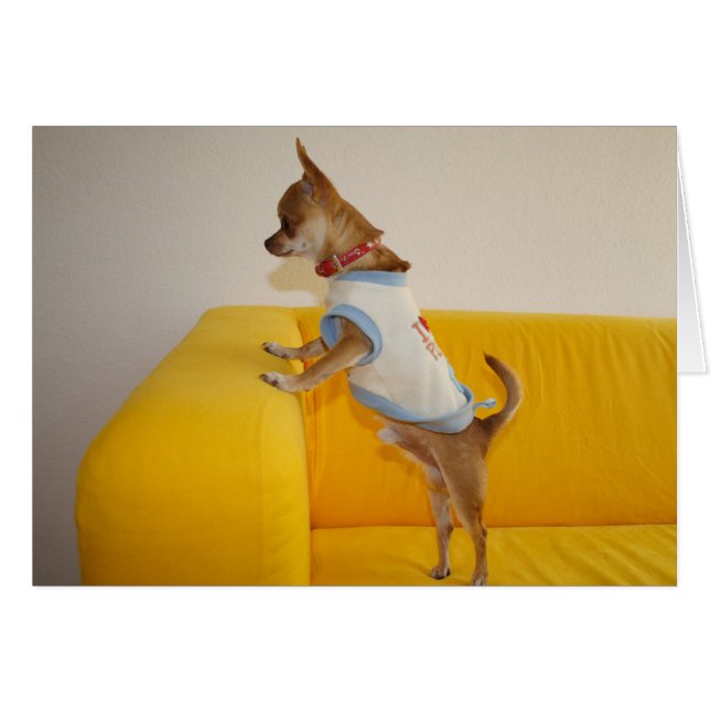 Sweet Charlie Chihuahua Cards (Front Horizontal)