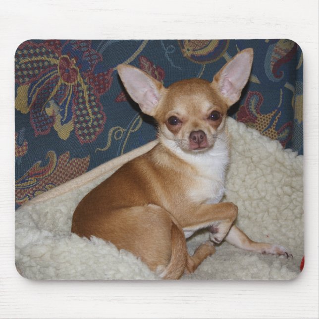 Sweet Charlie Chihuahua Mouse Pad (Front)