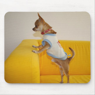 Sweet Charlie Chihuahua Mouse Pad