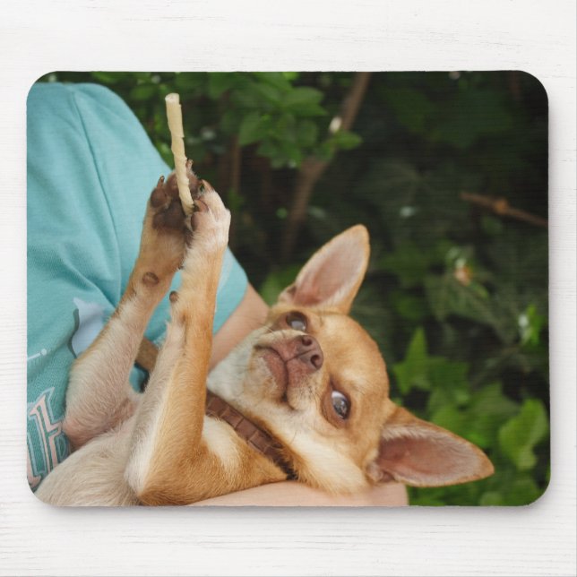 Sweet Charlie Chihuahua Mouse Pad (Front)