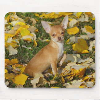 Sweet Charlie Chihuahua Mouse Pad