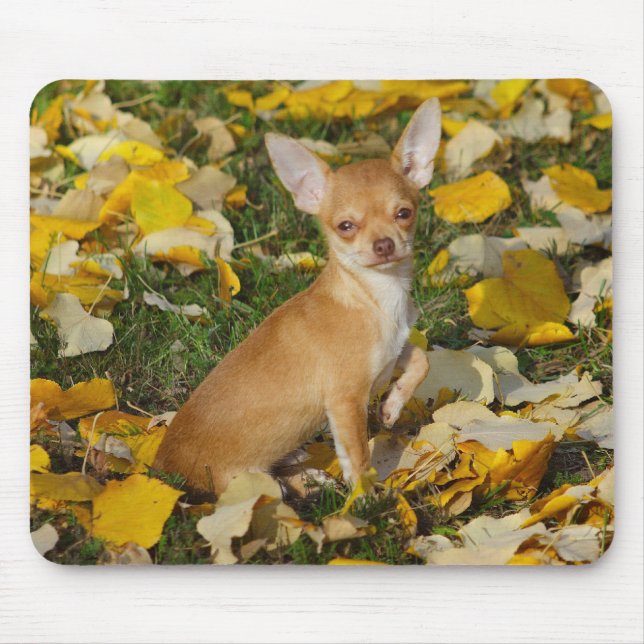Sweet Charlie Chihuahua Mouse Pad (Front)