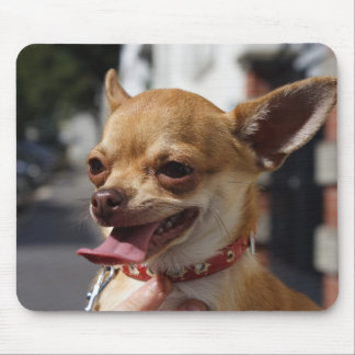 Sweet Charlie Chihuahua Mouse Pad