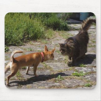 Sweet Charlie Chihuahua Mouse Pad