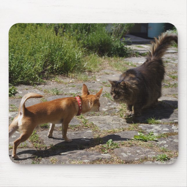 Sweet Charlie Chihuahua Mouse Pad (Front)