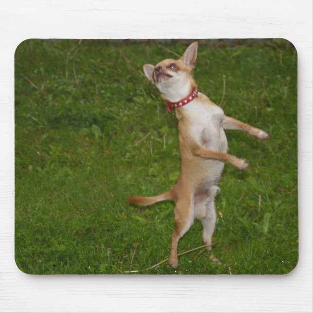 Sweet Charlie Chihuahua Mouse Pad (Front)