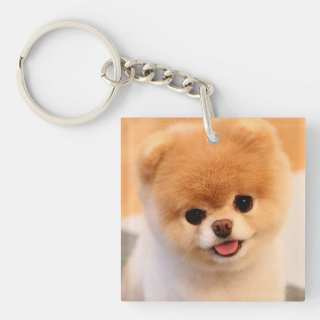 Sweet Charming Pomeranian Unique Keychain (Front)