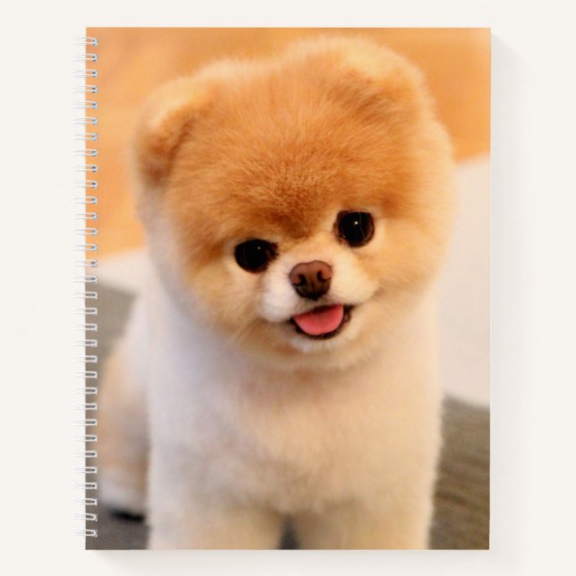 Sweet Charming Pomeranian Unique Notebook (Front)