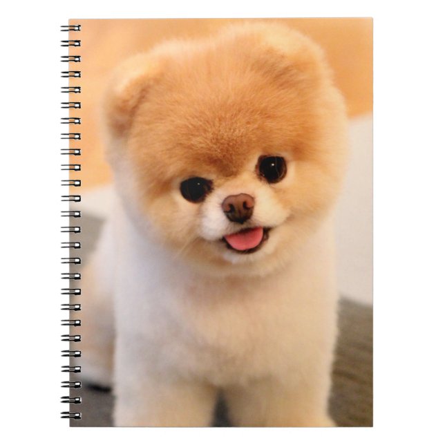 Sweet Charming Pomeranian Unique Notebook (Front)