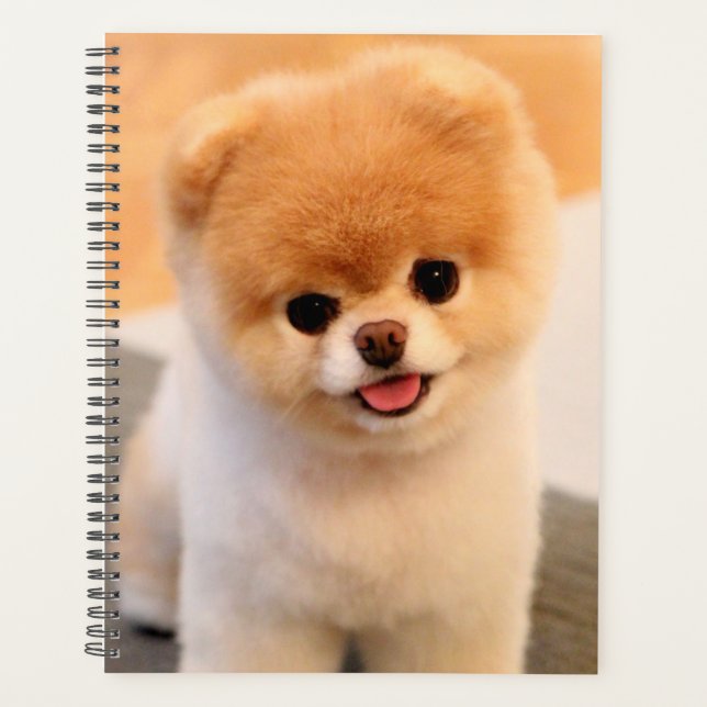 Sweet Charming Pomeranian Unique Planner (Front)