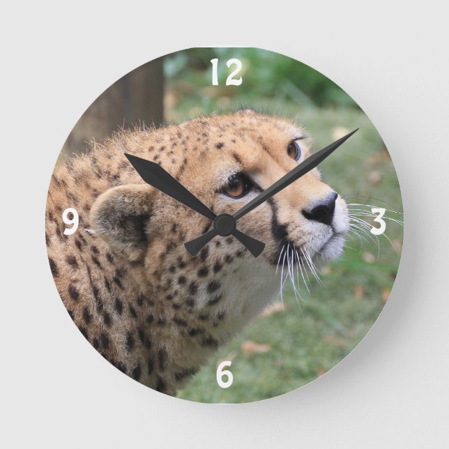 Sweet Cheetah with Appealing Eyes Round Clock (Front)