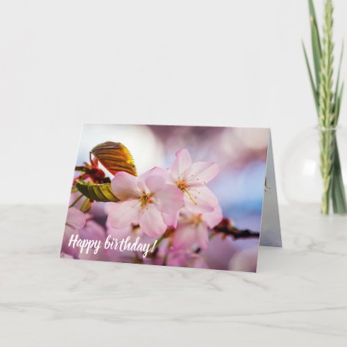 Sweet Cherry Blossoms Of Pink Color And Blue Sky Card