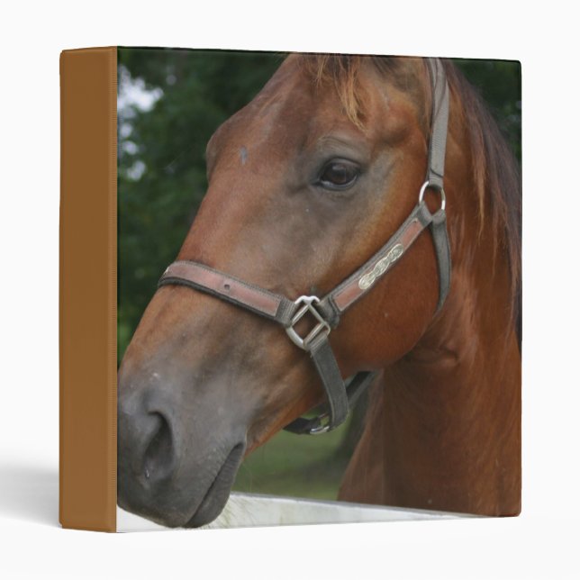 Sweet Chestnut Horse Binder (Front/Spine)