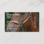 Sweet Chestnut Horse Business Cards