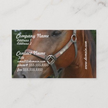 Sweet Chestnut Horse Business Cards by HorseStall at Zazzle
