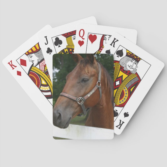 Sweet Chestnut Horse Deck of Cards (Back)