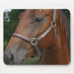Sweet Chestnut Horse Mouse Pad
