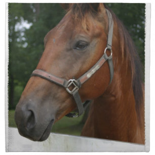 Sweet Chestnut Horse Set of Four Napkins