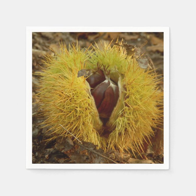 Sweet Chestnut Paper Napkins (Front)