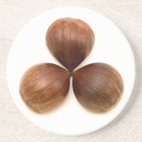 Sweet chestnuts fruits coaster