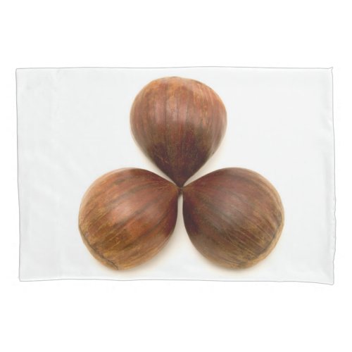 Sweet chestnuts fruits pillow case