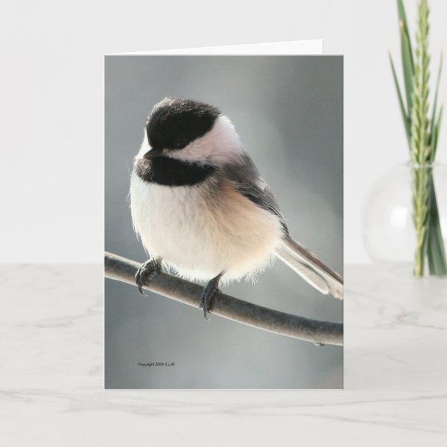 Sweet Chickadee Card (Front)