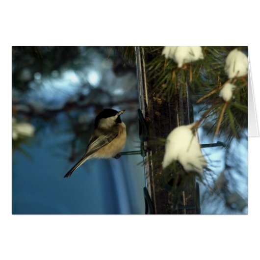 Sweet Chickadee Cards (Front Horizontal)