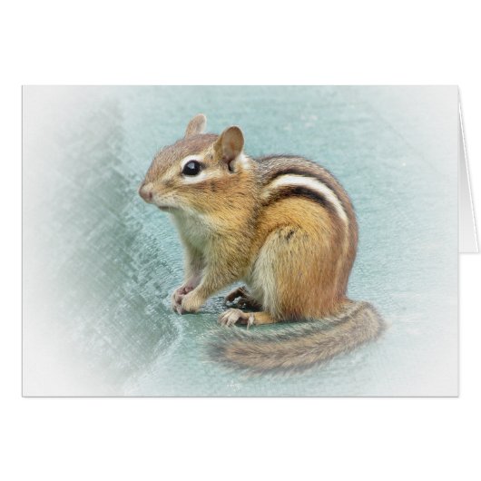 Sweet Chipmunk Cards (Front Horizontal)