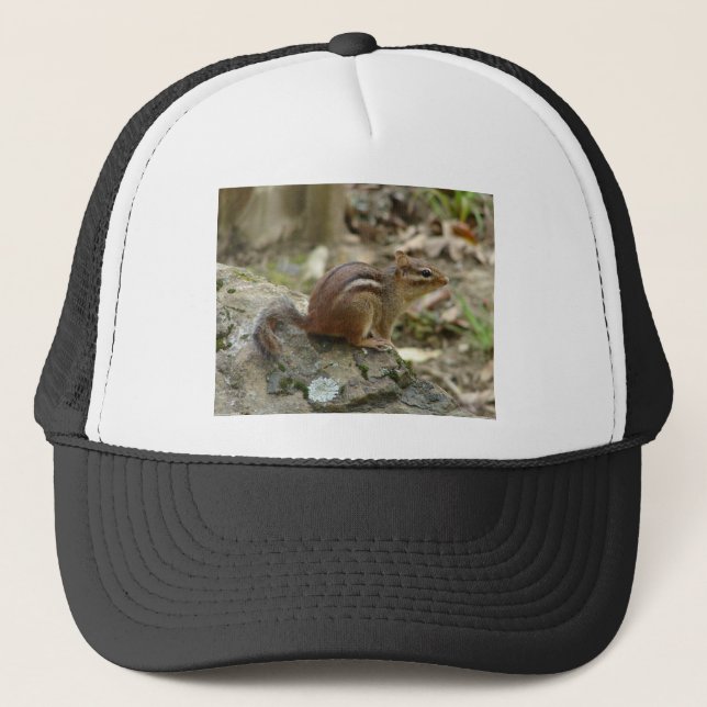 Sweet Chipmunk Hot Springs National Park Gifts Trucker Hat (Front)