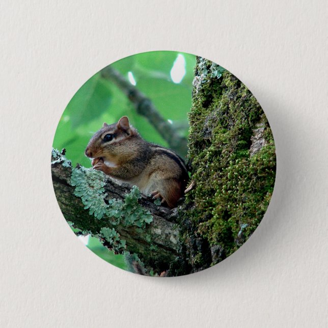 Sweet Chipmunk in a Tree Apparel and Gifts Pinback Button (Front)