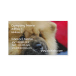 Sweet Chow Chow Business Card
