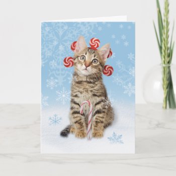Sweet Christmas Card by lamessegee at Zazzle