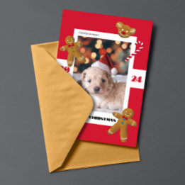 Sweet Christmas custom photo cute pet Holiday Card