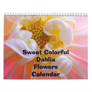 Sweet Colorful Dahlia Flowers Calendar Florals