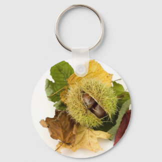 Sweet Conker With Leaves Keychain