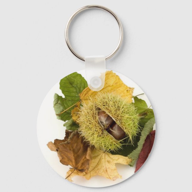 Sweet Conker With Leaves Keychain (Front)