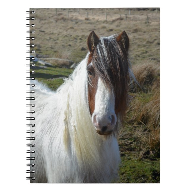 Sweet Connemera Pony Notebook (Front)