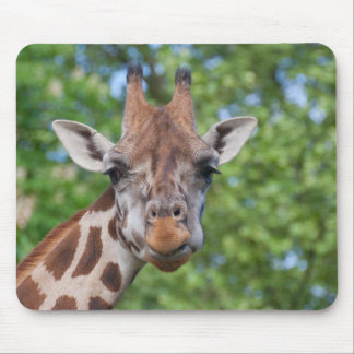 Sweet Curios Giraffe Mouse Pad