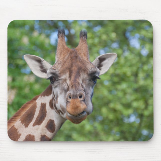 Sweet Curios Giraffe Mouse Pad (Front)