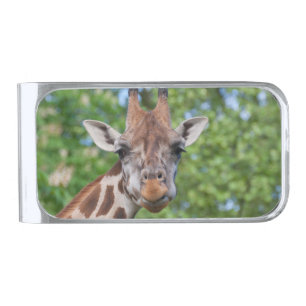 Sweet Curios Giraffe Silver Finish Money Clip