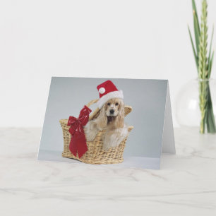 Sweet Customizable Pet Themed Xmas Gifts/Cards Holiday Card