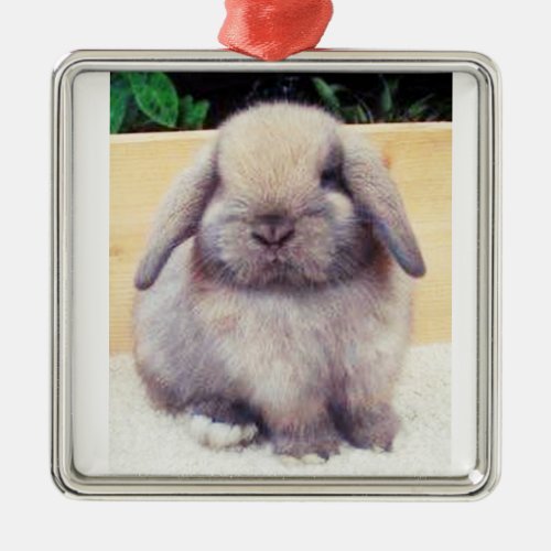 SWEETCUTE BUNNY ORNAMENT